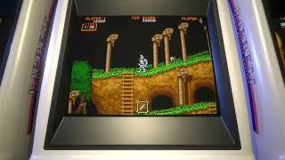 Capcom Arcade Stadium Ghouls 'n Ghosts PC