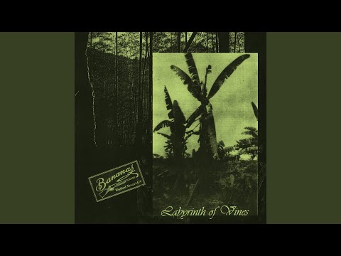 Banana Tree (no ha pasado nada ni está pasando ni pasará nunca)