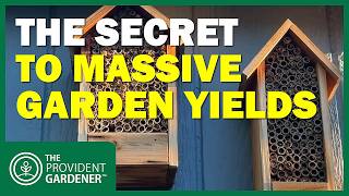 Secret to Massive Garden Yields: Attracting Beneficial Insects That Actually Work
