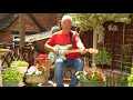 FOOLS PARADISE Buddy Holly Cover Terry Brain