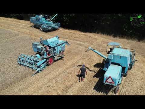 BRAUD la force Tranquille 🤠🌾