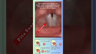 Download lagu Getaran (ihtizaz) pita suara_huruf madd keluar dengan cara ihtizaz_proses terbentuknya suara. mp3