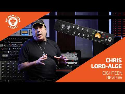 Black Lion Audio Eighteen Channel Strip 2020 - 2021 - Black image 15