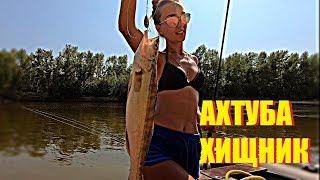 Рыбалка на ахтубе - окунь