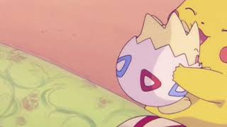 トゲピー アニメ 人気動画まとめ 無料ブログパーツ配布