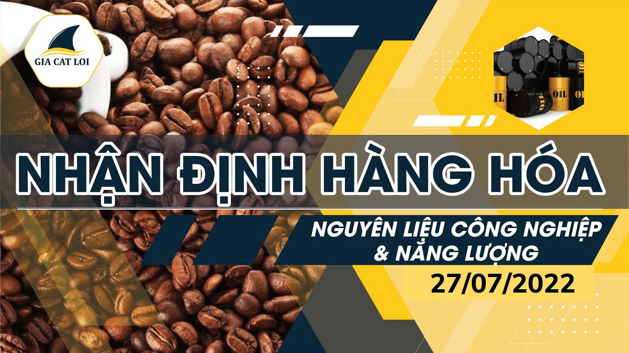 Nhận Định Thị Trường Năng Lượng & Nguyên Liệu Công Nghiệp Ngày 27/07/2022