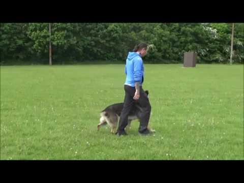 Jabina Oktan - Obedience