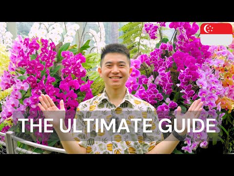 The Ultimate Guide to Singapore Botanical Gardens