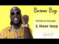 Burna Boy - Collateral damage || 1 hour loop