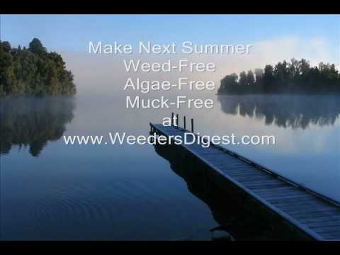 Lake Weed Control and Milfoil Hydrilla Pond Weed aquatic weed cutter & groomer