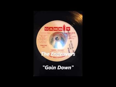 The Endeavors - Goin Down