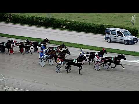 Aversa trotto 23 Gennaio 2021 - 1° Corsa