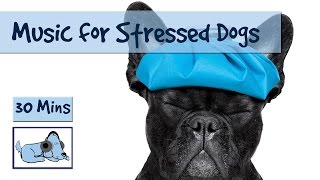 Relaxing Dog Music to Cure Separation Anxiety in Dogs. 30 Minutes of Music for Stressed Dogs.