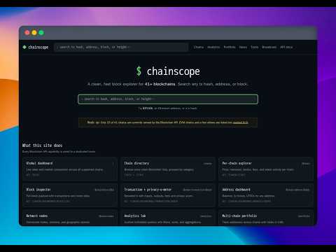 ChainScope — Blockchair Multi-Chain Explorer Demo Video