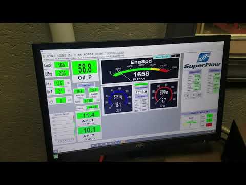 Dan Cski 383 Skip White Performance