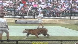 Steve Irwin Australia Zoo - New Unseen Footage