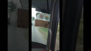 XE TẢi VÀ KÈN ÔNG VÀNG