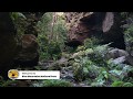 Sounds Of Nature Blue Mountains National Park