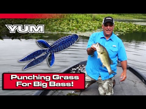 How To Catch Fish Punching Grass with Soft Plastics (Bass Fishing)