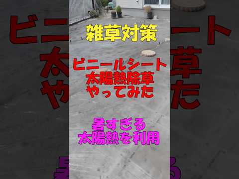 雑草対策ビニールシート除草