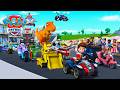 All Paws On Deck Save Adventure Bay PAW Patrol Official Compilation