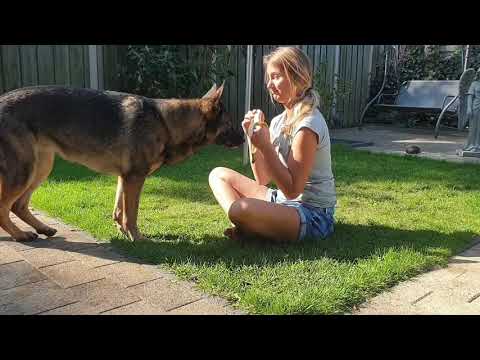 Lana Banana - Hoe komt ze toch aan die naam?!