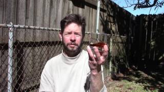 Jack Daniel's Old No. 7