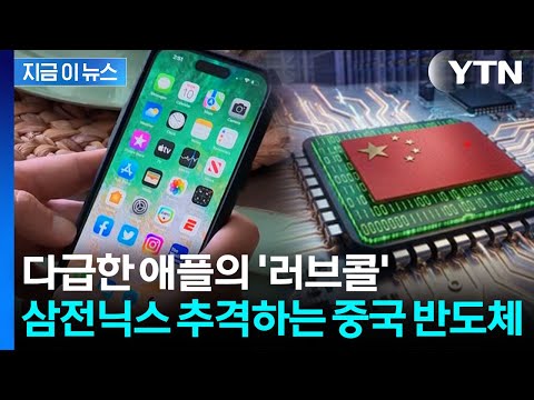 "애플, CXMT D램 테스트중"…반도체 지각변동 일어나나 [지금이뉴스] / YTN