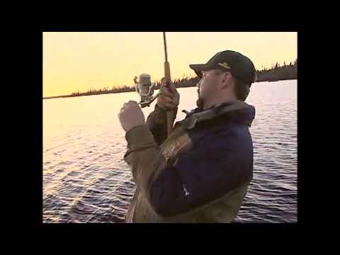 Gunisao Walleye VFN
