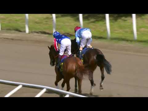 Svenskt Derby 2020 - Bullof Wall Street