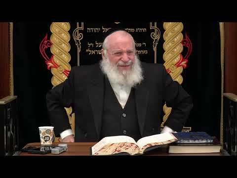 Thoughts on the Story of Yosef Hatzadik | By Rav Asher Weiss Shlit"a (5786)