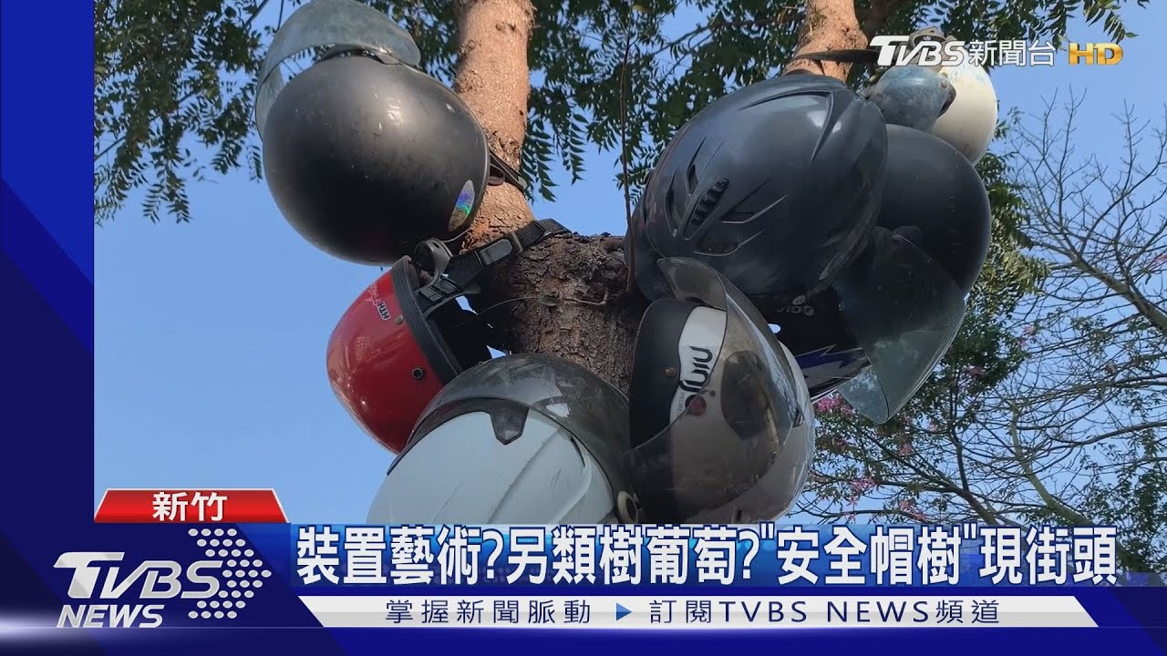 裝置藝術?另類樹葡萄? 「安全帽樹」現街頭