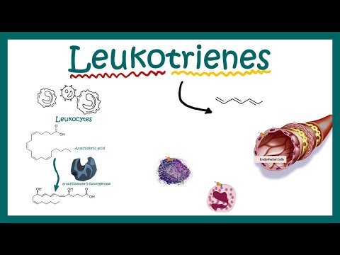 Leukotrienes || structure , function and association with disease