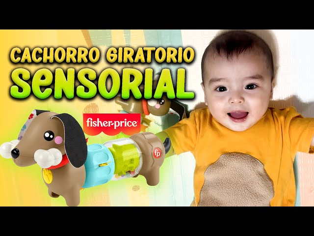 Vídeo relacionado con Fisher-Price Perrito de actividades con sonidos y giros, juguete que ayuda a la motricidad con diferentes texturas y colores, para bebés +6 meses (HTW91)