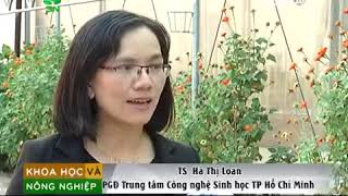 Trung tâm CNSH ỨNG DỤNG NUÔI CẤY MÔ HOA - BỘ NUÔI CẤY NGẬP CHÌM TẠM THỜI TIS