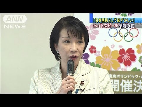 概要: マースのヘイトスピーチ法への批判