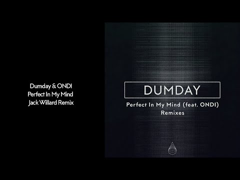 Dumday & ONDI - Perfect In My Mind (Jack Willard Remix)