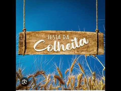 A Festas Da Colheita Gospel Divido Das Palmeiras São João do Manteninha Minas Gerais Brasil MNN T5