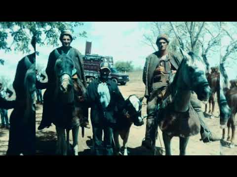 Toada corrida da vaca juruti