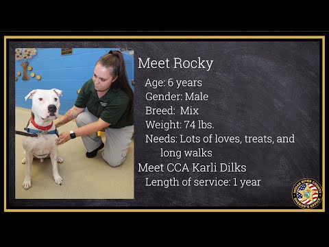July 29, 2022: Pet of the Week - Rocky and Kodiak