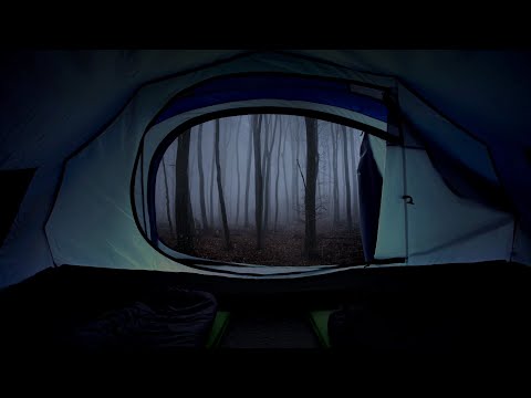 Night in a big tent with heavy rain and strong thunder