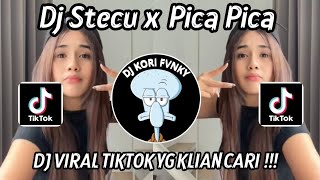 Download lagu DJ TIKTOK STECU X PICA PICA SLOWED VIRAL TIKTOK 2025!!! mp3