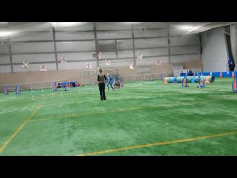 Raafi UKI Spring Cup 2017