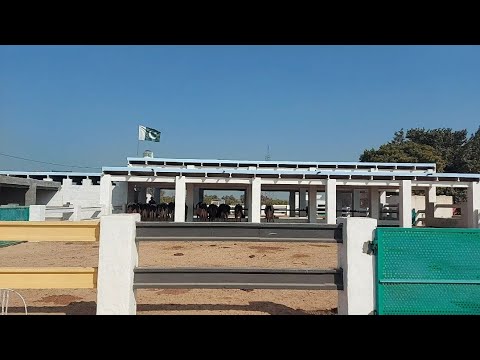 Visit Most Beautiful Dairy Farm | Dairy Farming Business in Pakistan | Farming setup | Cow Farming