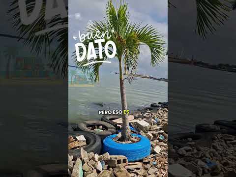 gracias a Dios el sol salió en Puerto barrios luego de las lluvias #puertobarrios #izabal #Turimo