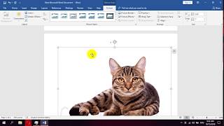 How to insert an online picture in Microsoft Word