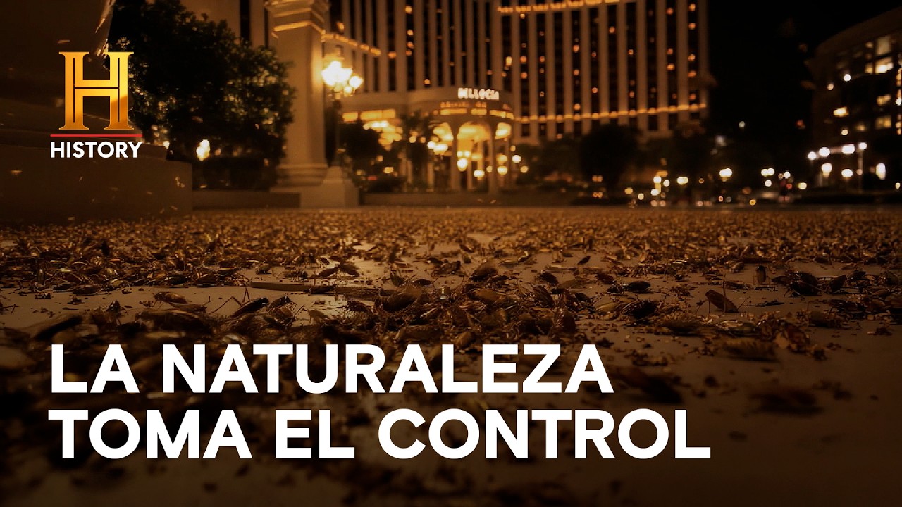¡CIUDAD DE INSECTOS! LA NATURALEZA TOMA EL CONTROL 🦟🏨🔥 - La tierra sin humanos