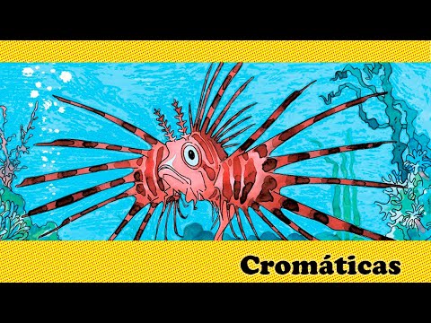 KitineteHQ 490 - Cromáticas