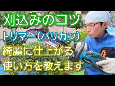 6月に庭で何を剪定しますか？やり方は？完全なガイドをご覧ください。  庭園