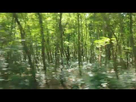 Somogyszob - Nagyatád vasútvonal beutazása